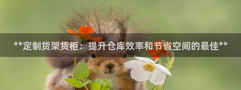 杏运平台登陆