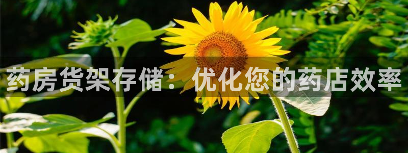 杏运体育官网