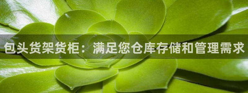 杏运体育平台正规吗安全吗可信吗