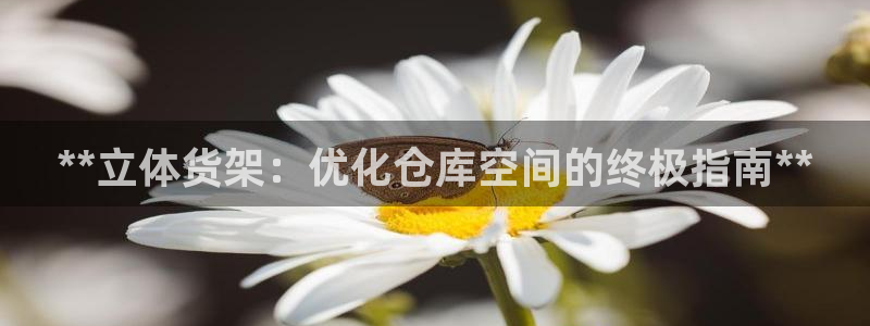 杏运娱乐平台注册地址在哪里
