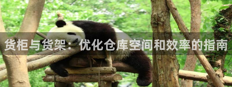 杏运平台登陆
