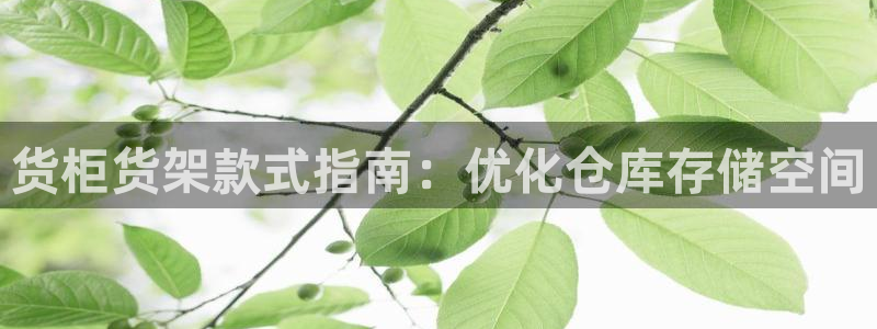杏运体育app下载安装手机版