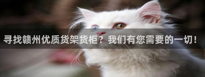 杏运汽车