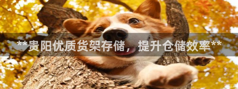 杏运体育怎么样