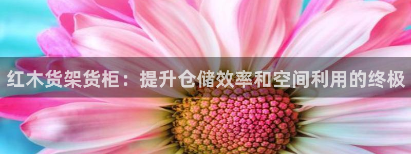 杏运娱乐官网