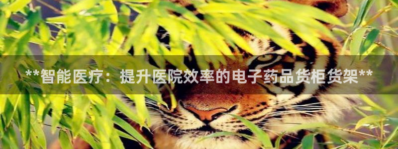 杏运体育注册