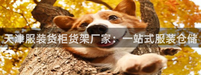 杏运相伴
