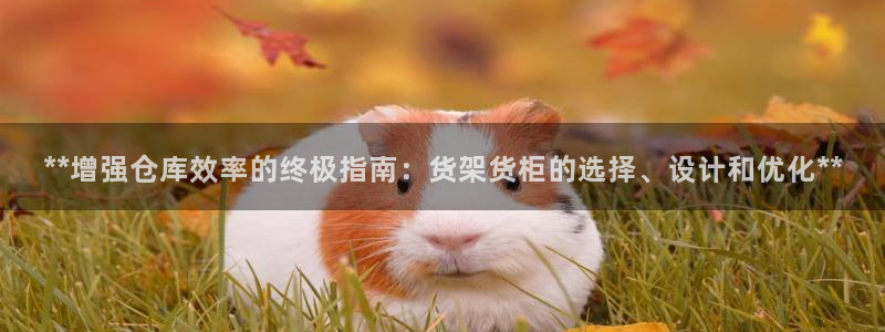 杏运代理