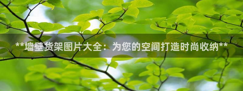 杏运体育官网