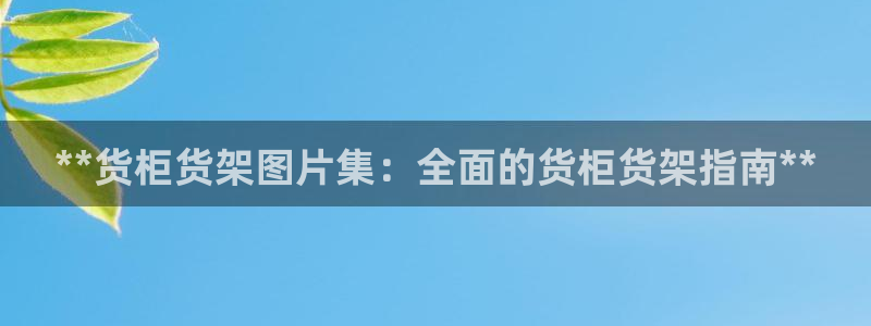 杏运代理