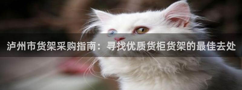 杏运汽车招商