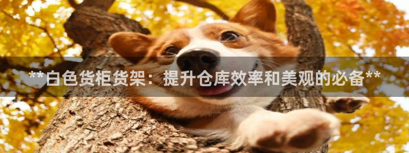 杏运体育app