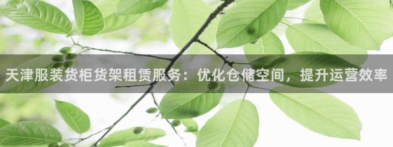 杏运代理