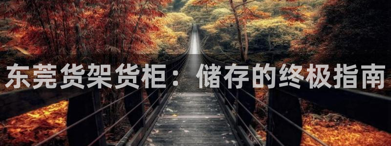 杏运新能源