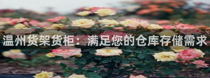 杏运平台官方网站