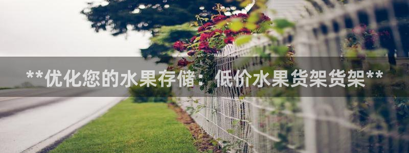杏运代理