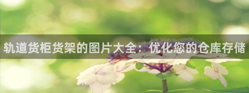 杏运新能源