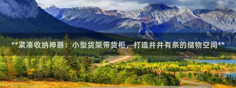 杏运新能源