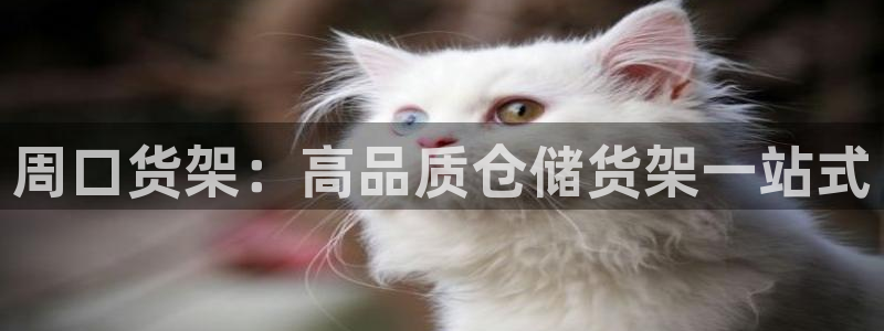 杏运体育官方网址登录