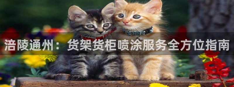 杏运平台官方网站