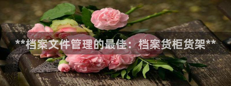 杏运汽车招商