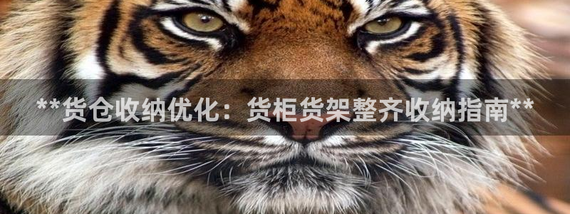 杏运注册平台