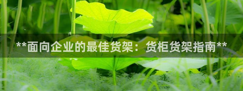 杏运体育网