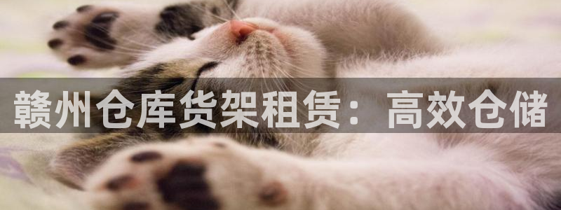 杏运体育官方网址登录