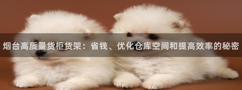 杏运体育登录