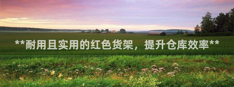 杏运平台代理