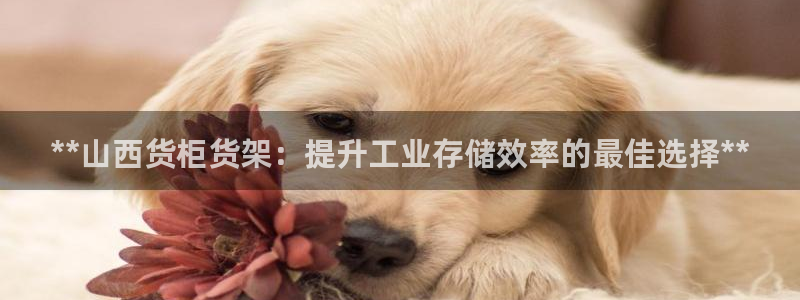 杏运体育平台正规吗安全吗可信吗