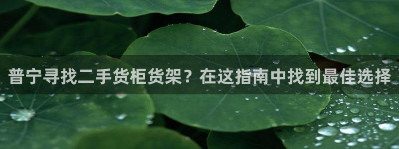 杏运注册账号