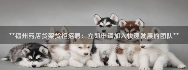 杏运代理