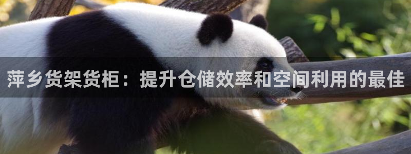 杏运注册平台