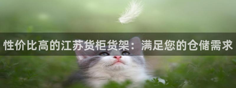 杏运相伴