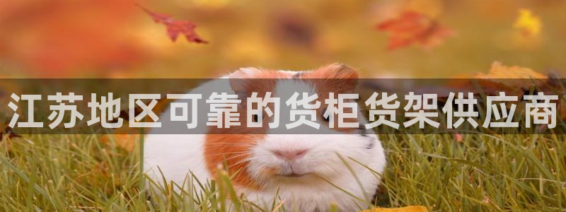 杏运体育注册
