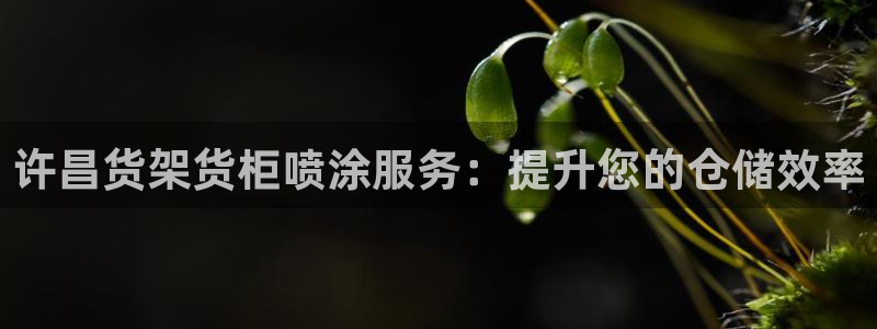 杏运体育app下载安装