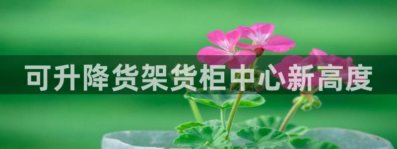 杏运体育官方网址登录