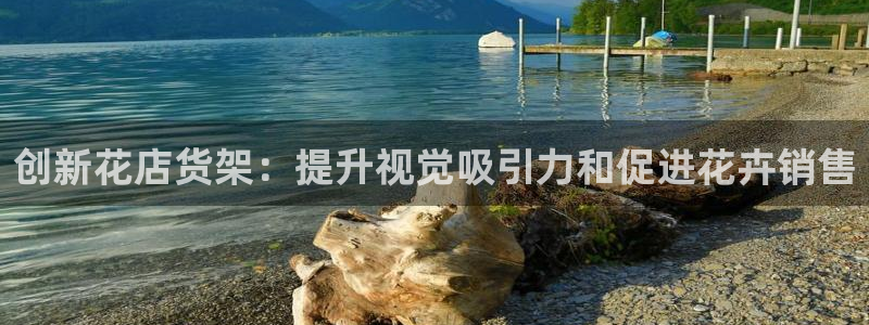 杏运平台注册
