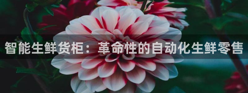 杏运注册