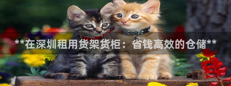 杏运注册账号