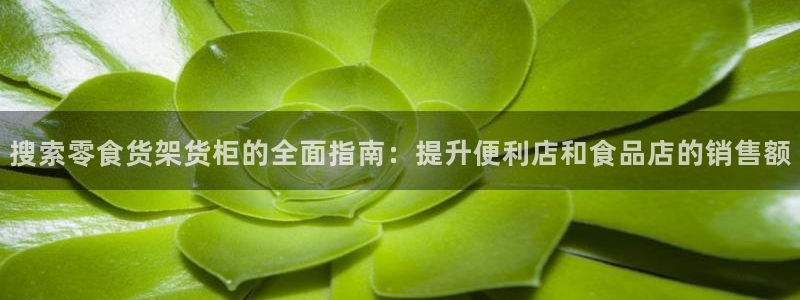 杏运汽车招商