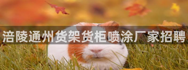 杏运娱乐怎么样