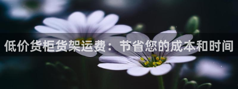 杏运体育登录