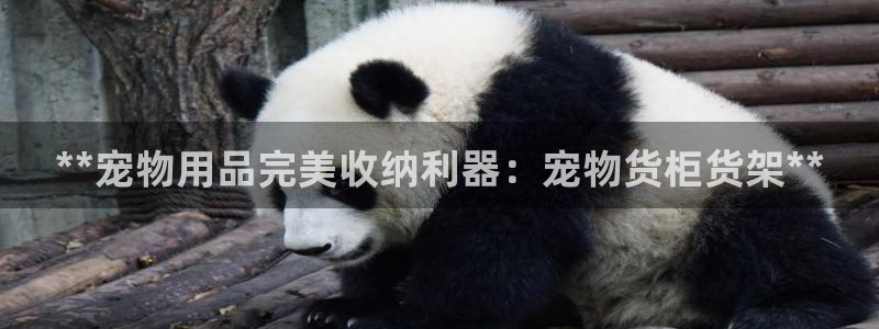 杏运平台代理