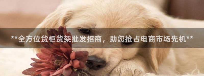 杏运体育怎么样