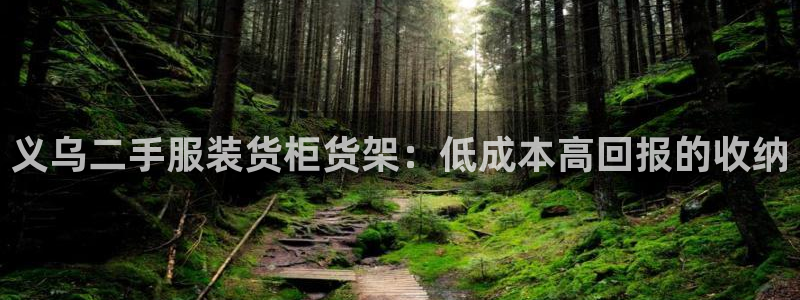 杏运汽车招商