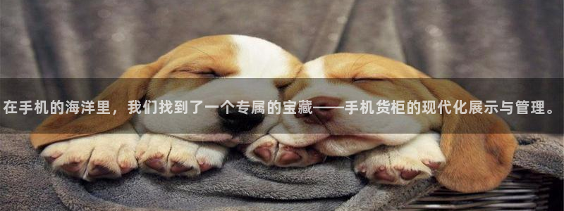 杏运体育平台正规吗安全吗可信吗