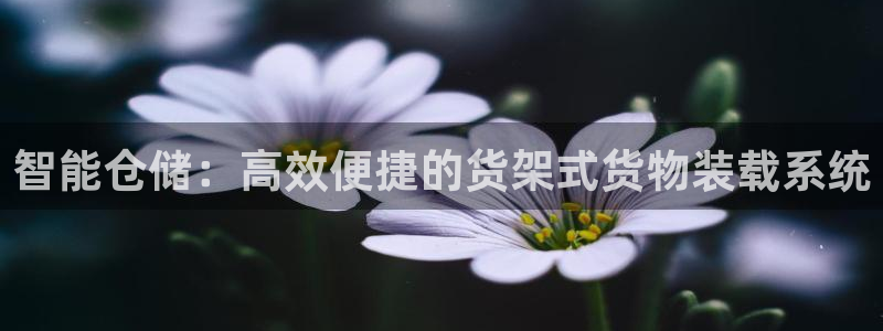 杏运平台官方网站