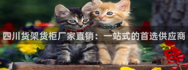 杏运汽车招商